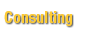 Consulting