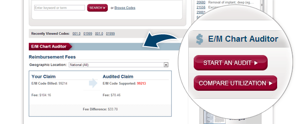 E/M Chart Auditor